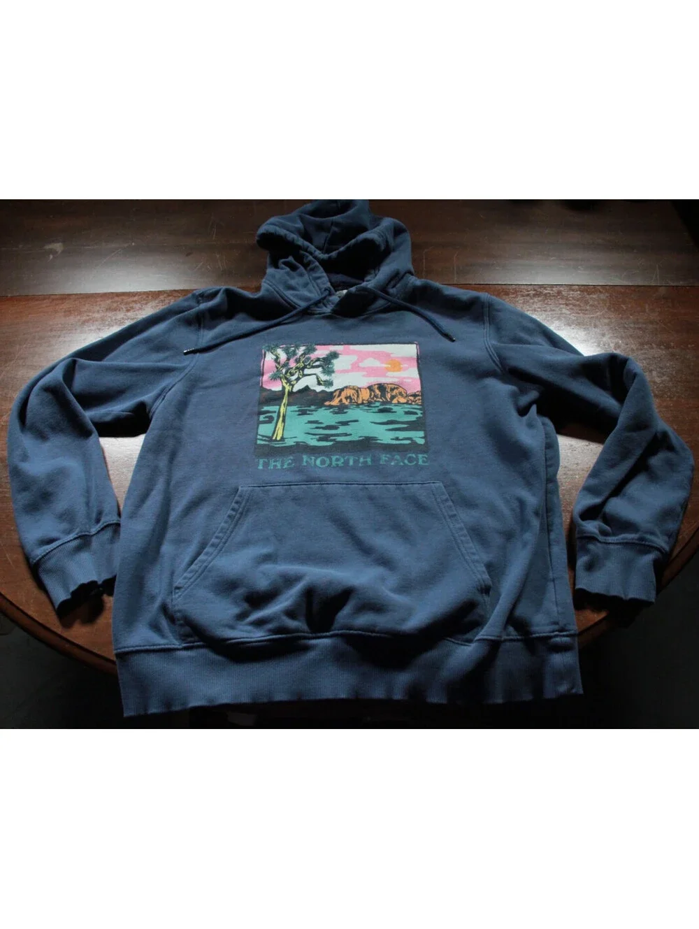 The North Face Joshua Tree Graphic Hooded Sweatshirt Hoodie L Men's Blue